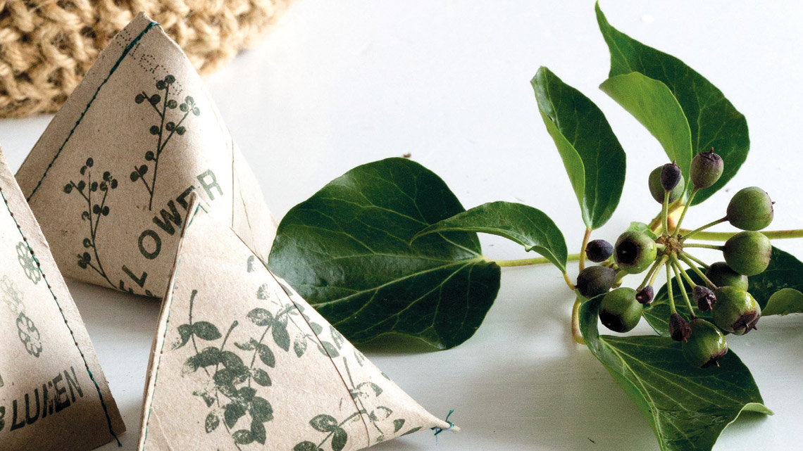 Selbstgebastelte Samenboxen aus Klorollen. | © Silke Rothenburger-Zerrer