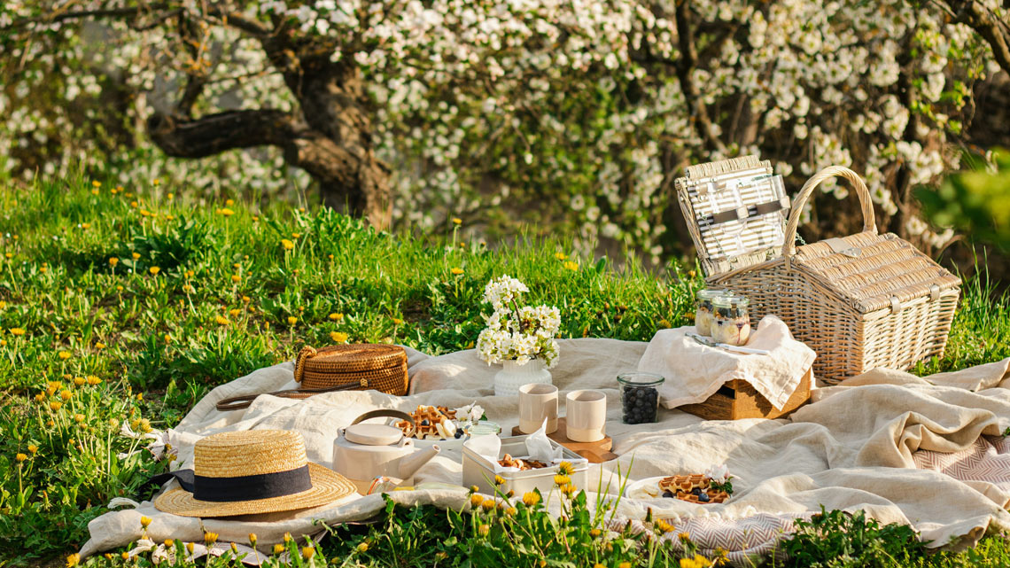 Picknick auf der Wiese. | © unsplash.com Picknick auf der Wiese. | © unsplash.com