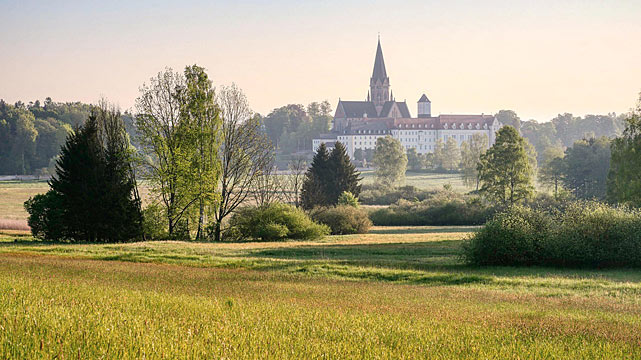 Kloster, im Vordergrund Wiese mit Sträuchern. | © unsplash.com