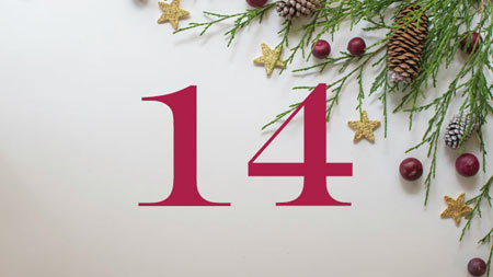 14_teaserbild_adventskalender_450.jpg