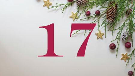 17_teaserbild_adventskalender_450.jpg