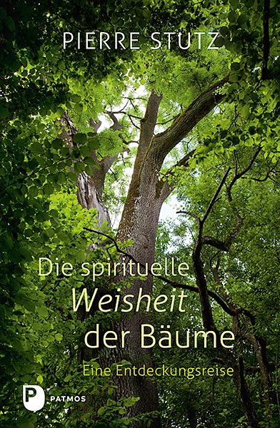The Spiritual Wisdom of Trees