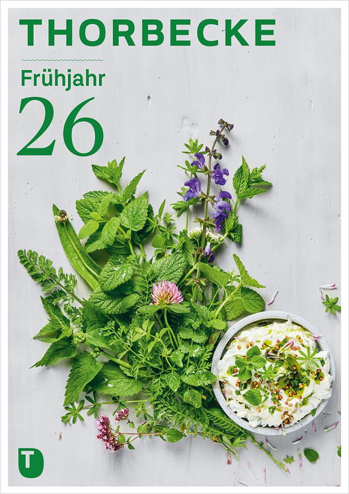 Cover der Vorschau Jan Thorbecke Verlag Lebensart Frühjahr 2026