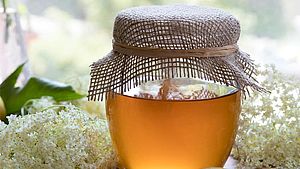 Glas Honig mit Holunderblüten verziert | © Madeleine Steinbach, shutterstock.com