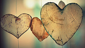 Baumscheiben in Form von Herzen. | © pixabay.com