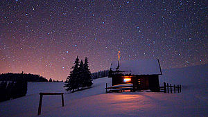 © Kotenko Oleksandr, shutterstock.com