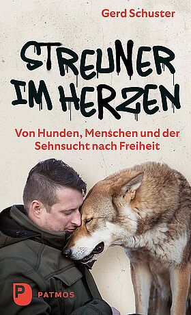 Gerd Schuster - Stray at Heart