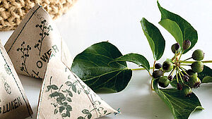 Selbstgebastelte Samenboxen aus Klorollen. | © Silke Rothenburger-Zerrer