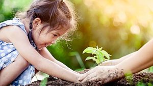 Kleines Mädchen pflanzt mit den Händen Setzling in die Erde mit Hilfe eines Erwachsenen. | © A3pfamily, shutterstock.com