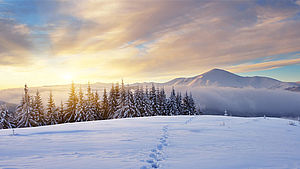 Spuren im Schnee bei Sonnenaufgang in den Bergen | © Kotenko Oleksandr, Shutterstock