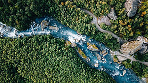Fluß, der sich durch Waldlandschaft schlängelt. Sicht von oben. | © Luke Oslizlo, shutterstock.com