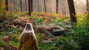 Frau, die durch einen Wald geht | © Daniel Beckemeier / shutterstock.com