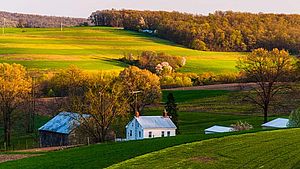 Ländliche Idylle mit Feldern, Wald und Gehöft | © ESB Professional, shutterstock.com