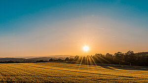 Hinter einem Feld und Waldstück geht die Sonne auf. | © unsplash.com