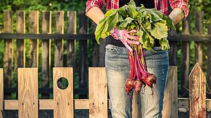 Frau im Garten. Sie hält ein Bund frisch geerntete Rote Bete in den Händen © Marcin Jucha, Shutterstock.com